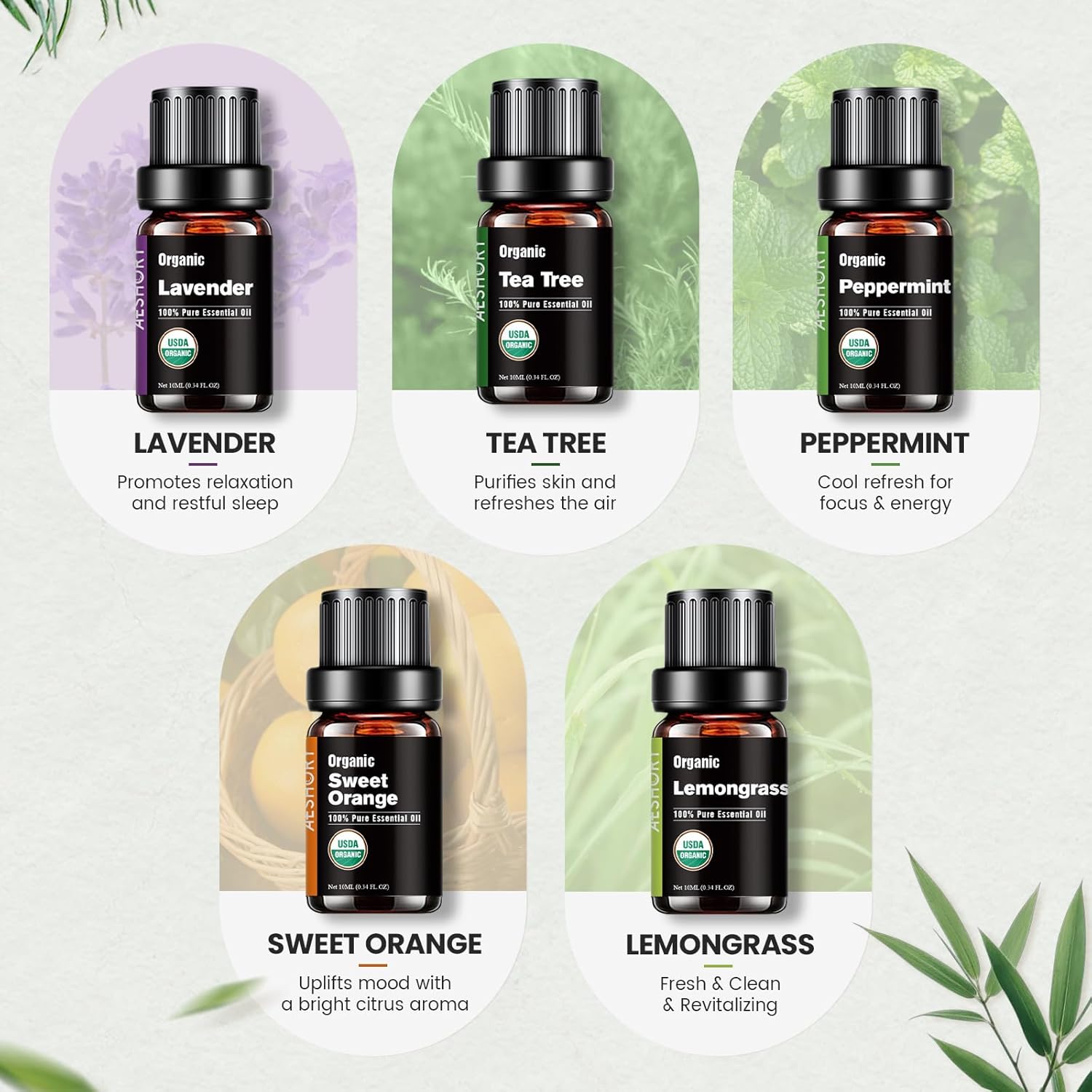Organic Essential Oils Gift Set, Top 10x10ML-100% Pure Natural Aromatherapy for Diffusers, Humidifiers, Candle Making, Peppermint, Tea Tree, Lavender, Frankincense, Lemongrass, Eucalyptus & More - Image 4