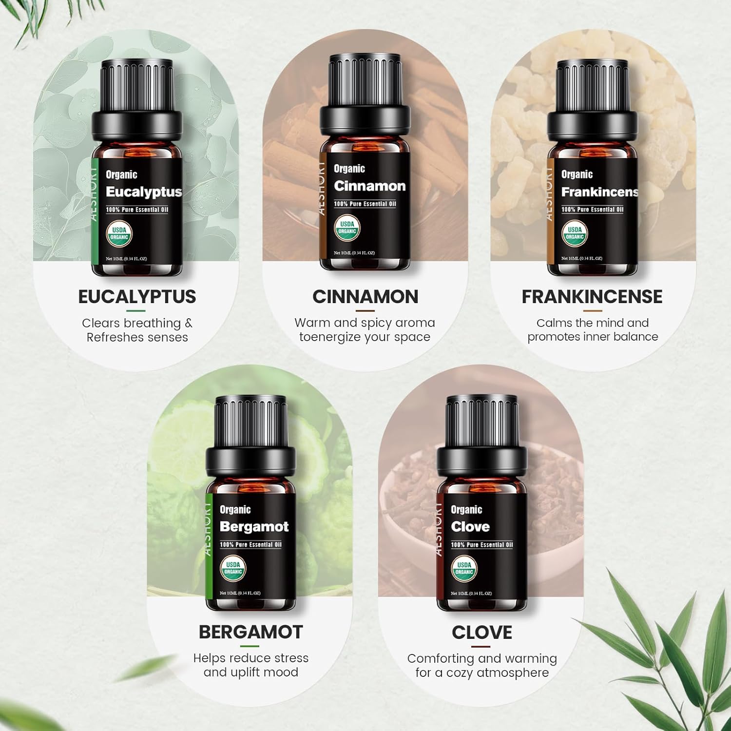 Organic Essential Oils Gift Set, Top 10x10ML-100% Pure Natural Aromatherapy for Diffusers, Humidifiers, Candle Making, Peppermint, Tea Tree, Lavender, Frankincense, Lemongrass, Eucalyptus & More - Image 5