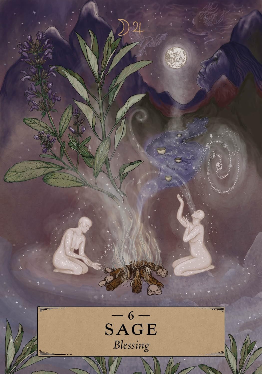 The Herbal Astrology Pocket Oracle: A 55-Card Deck and Guidebook - Image 7