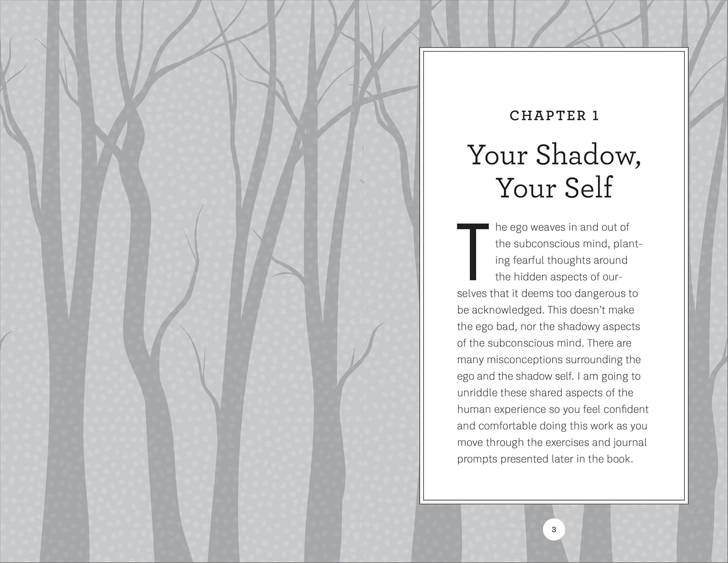 Shadow Work Journal and Guide for Beginners: An Introduction to Discovering and Healing Your Unconscious Self - Image 4