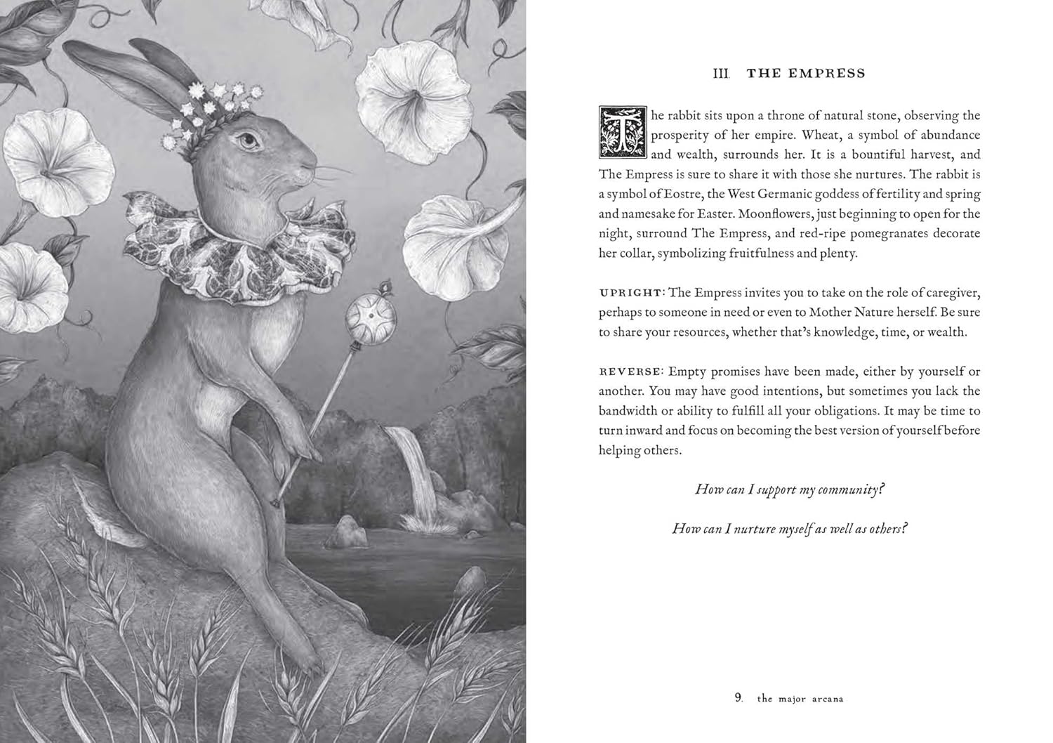 Tarot of the Woodland Wardens: 78-Card Deck & Guidebook - Image 10