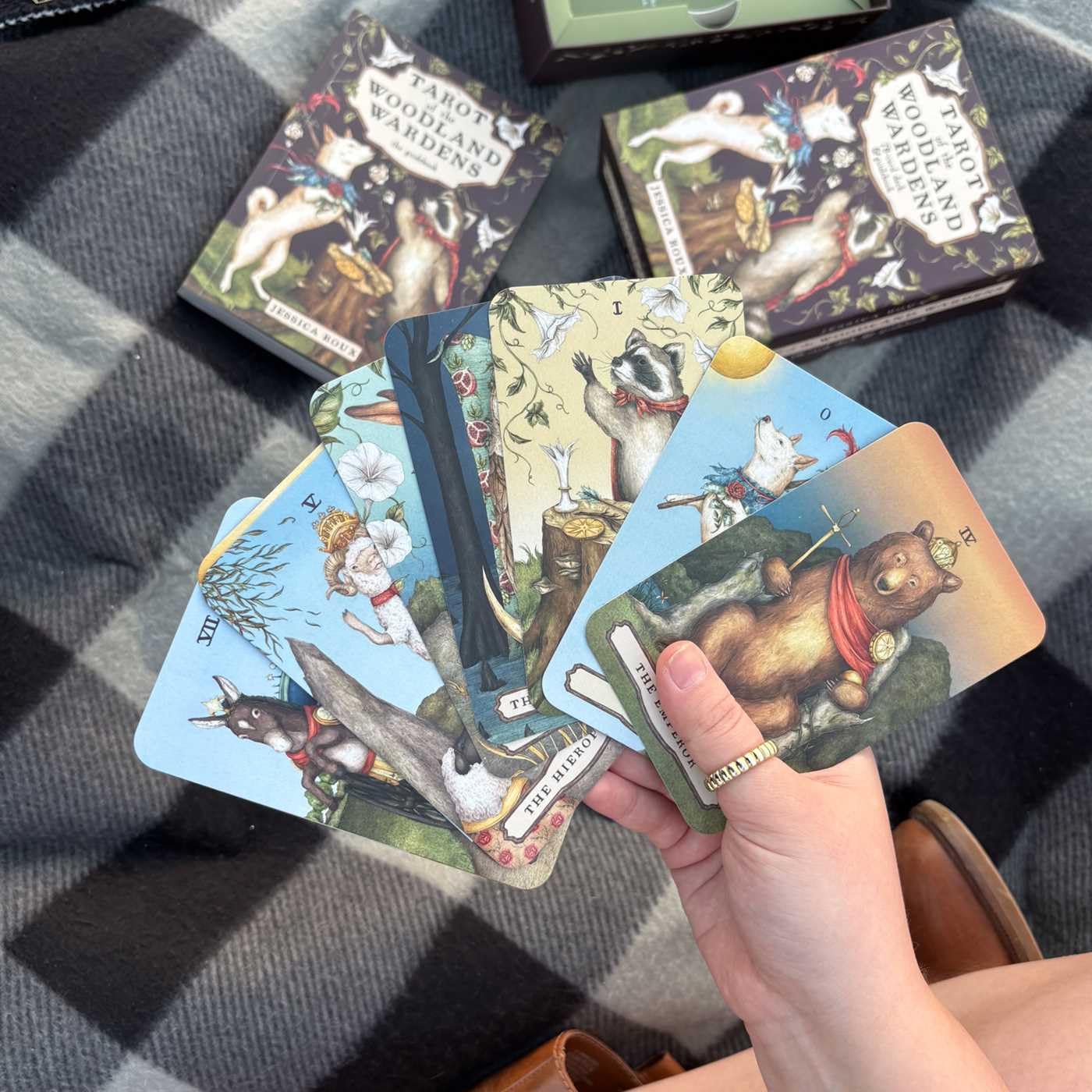 Tarot of the Woodland Wardens: 78-Card Deck & Guidebook - Image 14
