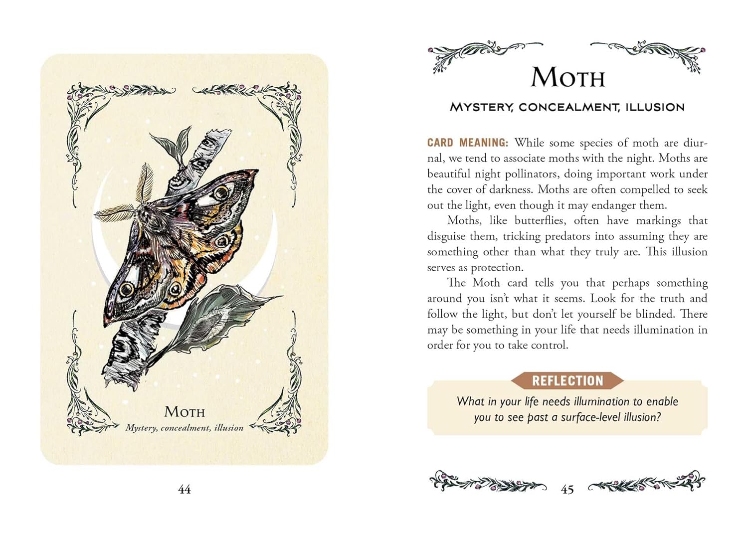 The Green Witch's Oracle Deck: Embrace the Wisdom and Insight of Natural Magic (Green Witch Witchcraft Series) - Image 7