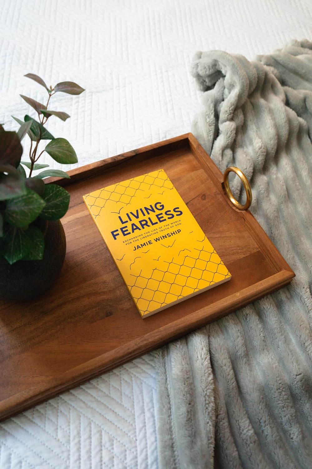 Living Fearless: Exchanging the Lies of the World for the Liberating Truth of God - Image 4