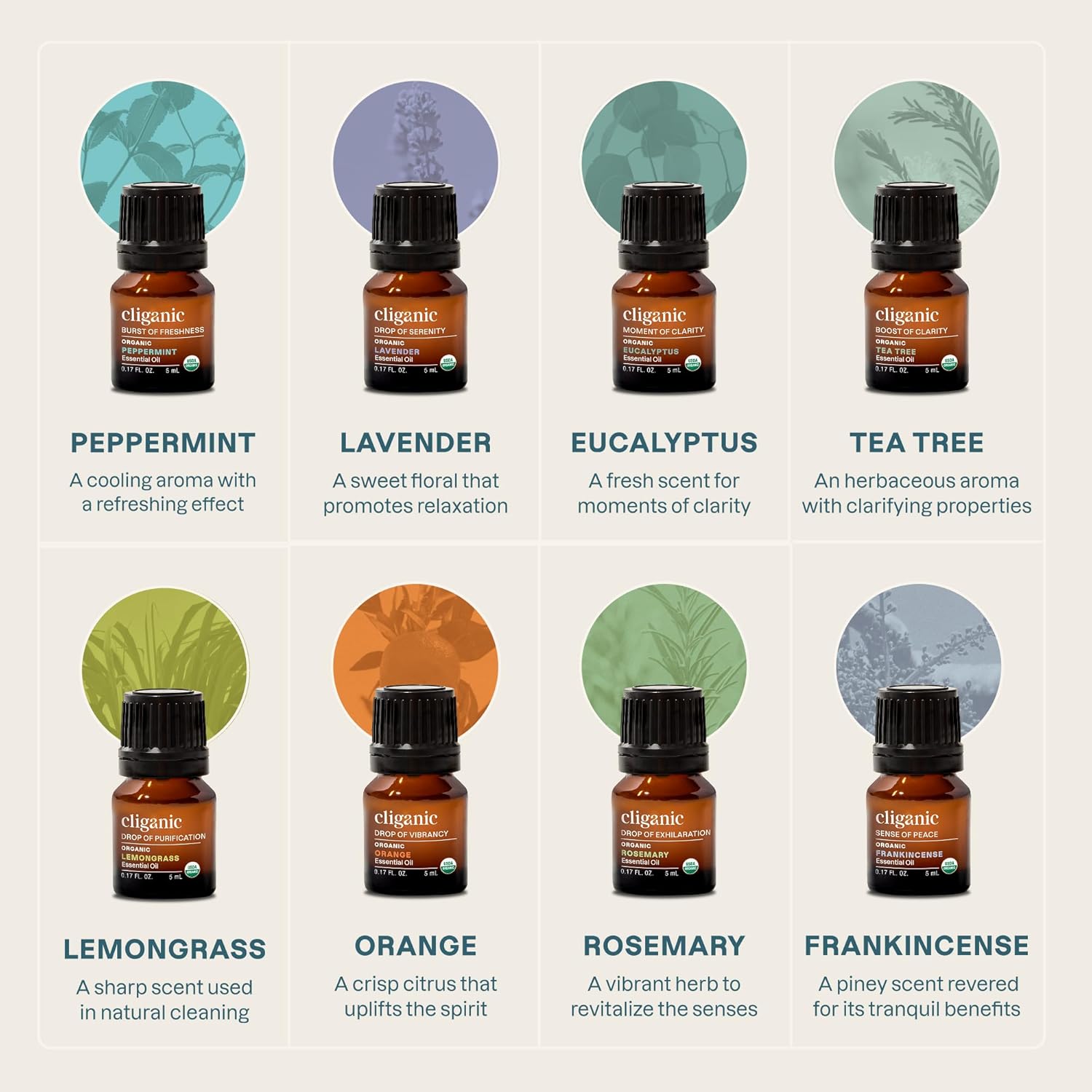 Cliganic Organic Aromatherapy Essential Oils Gift Set (Top 8 - The Iconics), 100% Pure - Peppermint, Lavender, Eucalyptus, Tea Tree, Lemongrass, Rosemary, Frankincense & Orange - Image 3