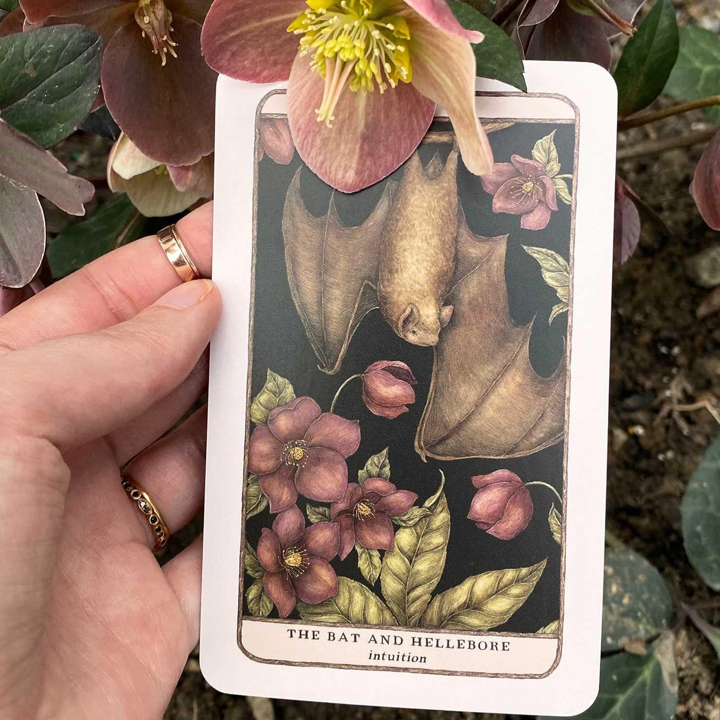 Woodland Wardens: 52-Card Oracle Deck & Guidebook - Image 10