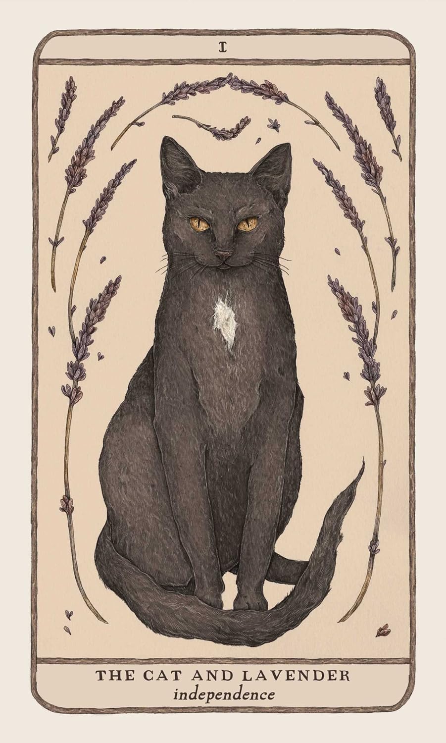 Woodland Wardens: 52-Card Oracle Deck & Guidebook - Image 4