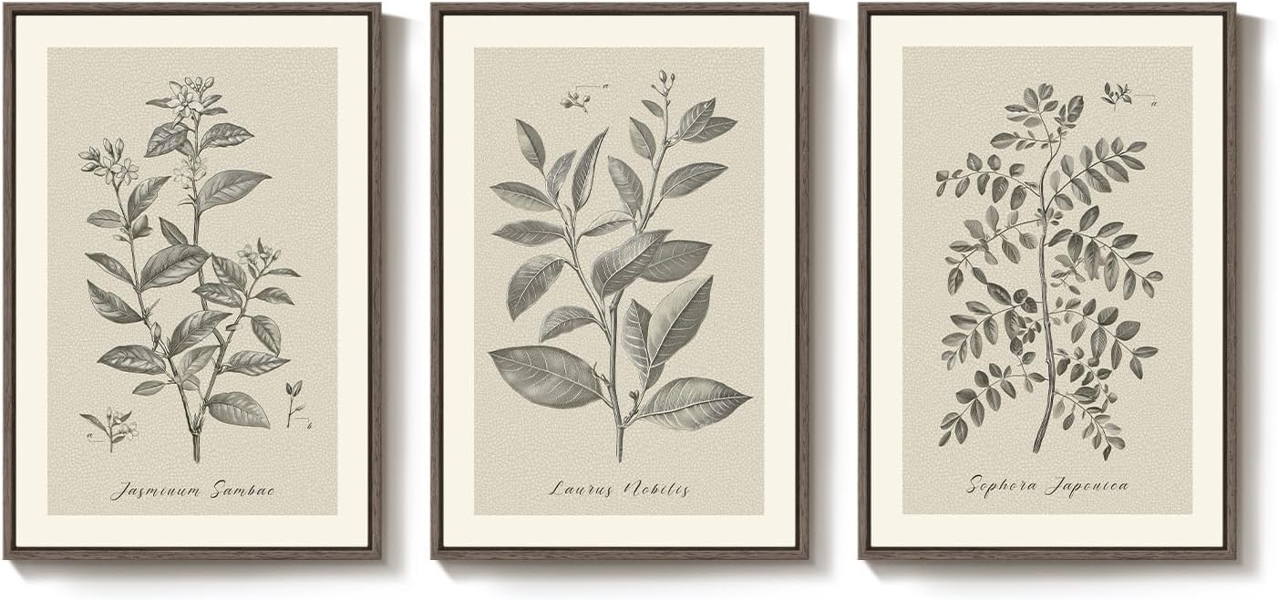 Framed Vintage Botanical Wall Art for Dining Room, 3 Piece Neutral Floral Plants Canvas Painting Prints Artwork, Rustic Flowers Pictures for Farmhouse Living Room Bedroom Kitchen Home Decor, 16x24 In - Image 8