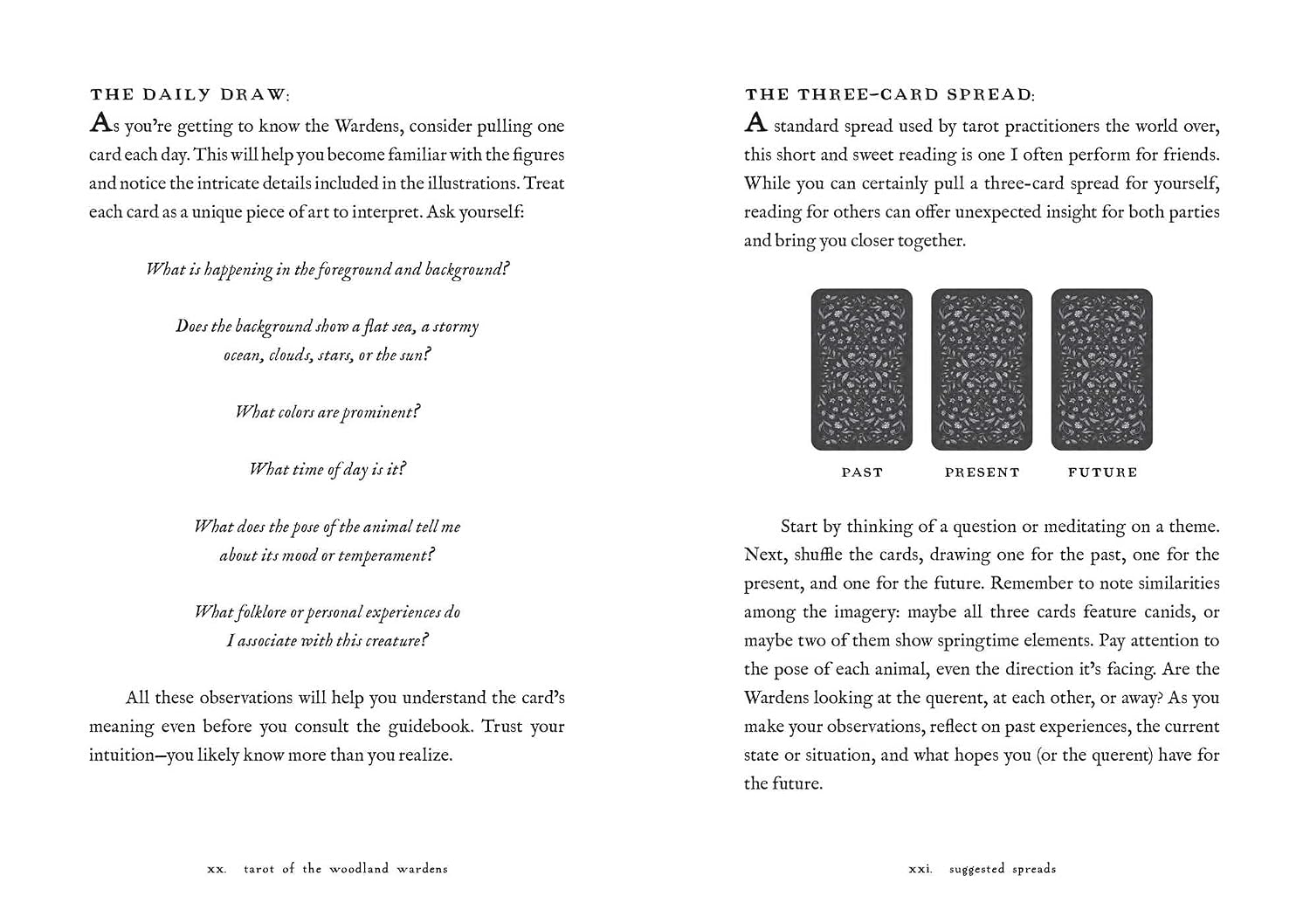 Tarot of the Woodland Wardens: 78-Card Deck & Guidebook - Image 9