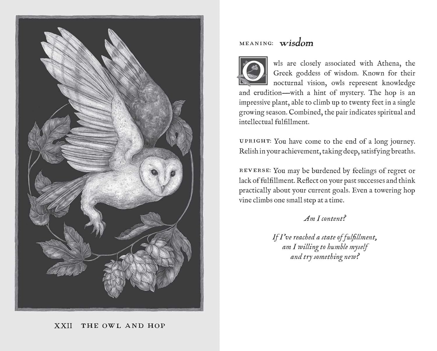 Woodland Wardens: 52-Card Oracle Deck & Guidebook - Image 8