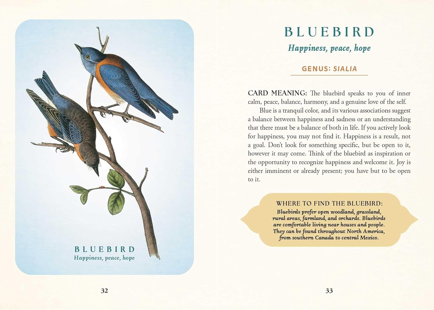 The Spiritual Meaning of Birds Oracle Deck: Discover the Wisdom & Insight of These Divine Winged Messengers - Image 3