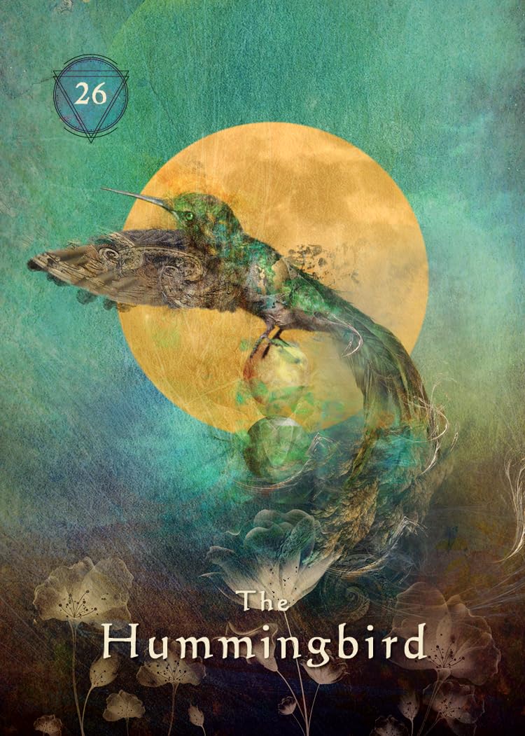 Mystical Shaman Pocket Oracle Cards: A 64-Card Deck and Guidebook - Image 4