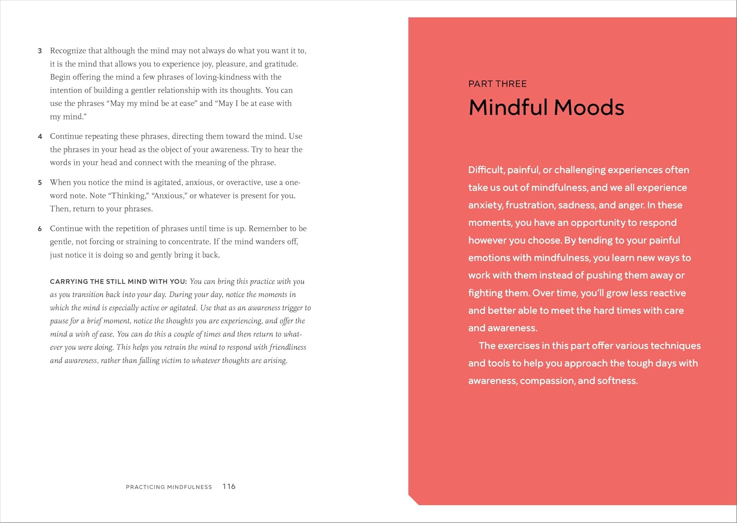 Practicing Mindfulness: 75 Essential Meditations to Reduce Stress, Improve Mental Health, and Find Peace in the Everyday - Image 3