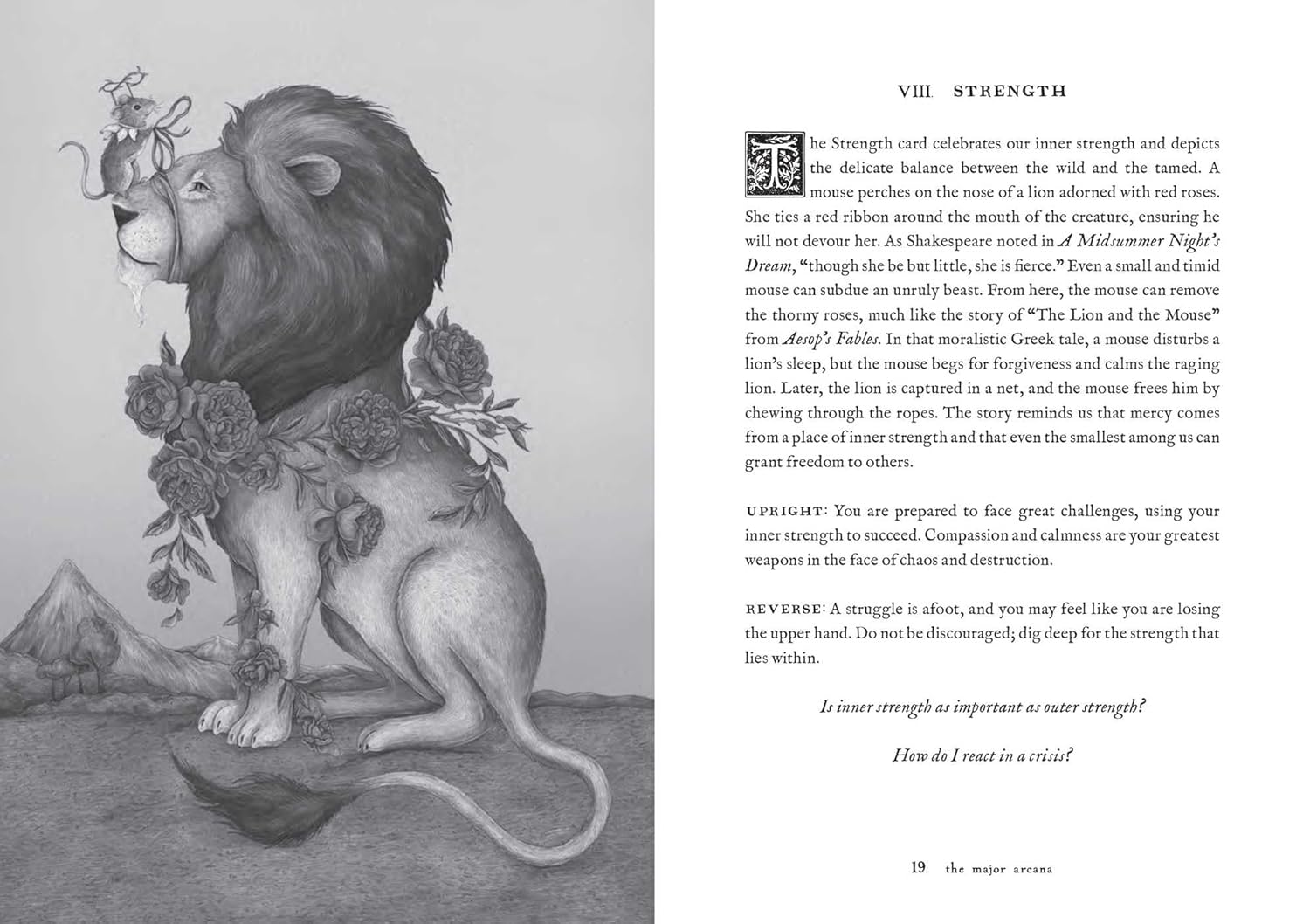 Tarot of the Woodland Wardens: 78-Card Deck & Guidebook - Image 11