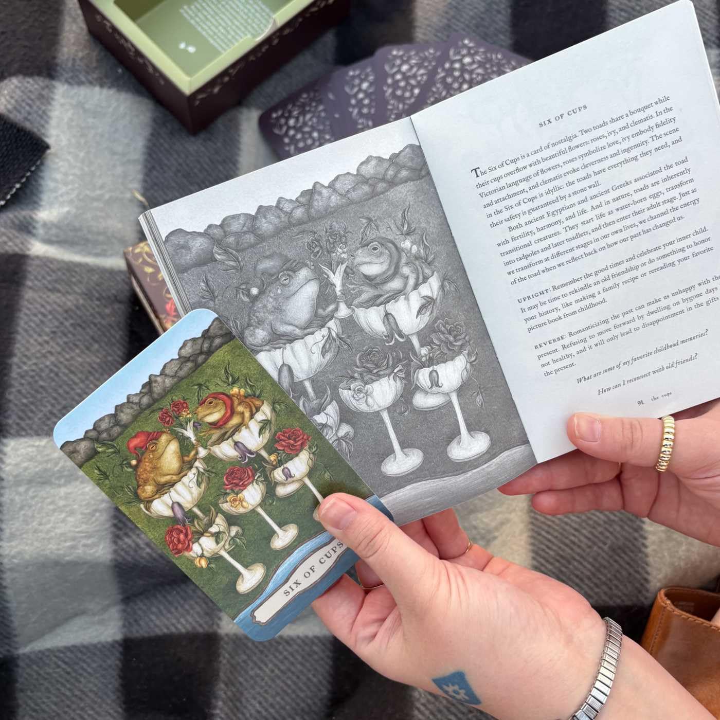 Tarot of the Woodland Wardens: 78-Card Deck & Guidebook - Image 15