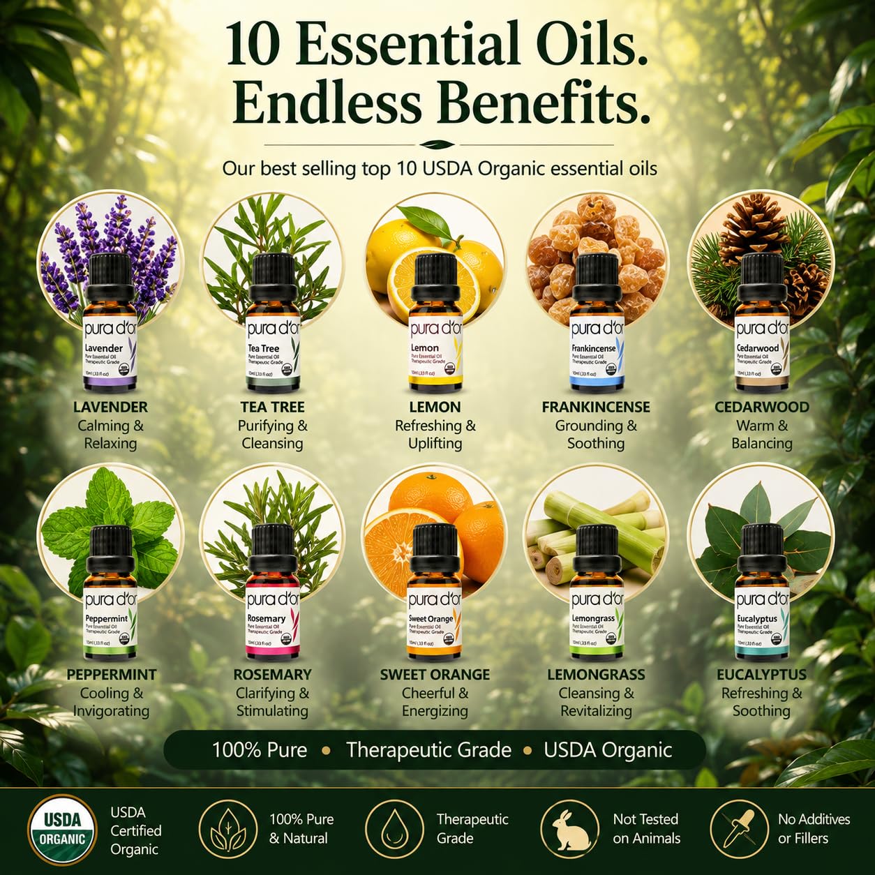 PURA D'OR Organic Perfect10 Essential Oils Set - 10x 10mL Wood Box Aromatherapy Gift Set - 100% Pure Therapeutic Grade for Relaxation and Wellness (Lavender, Peppermint, Eucalyptus, Tea Tree & More) - Image 3