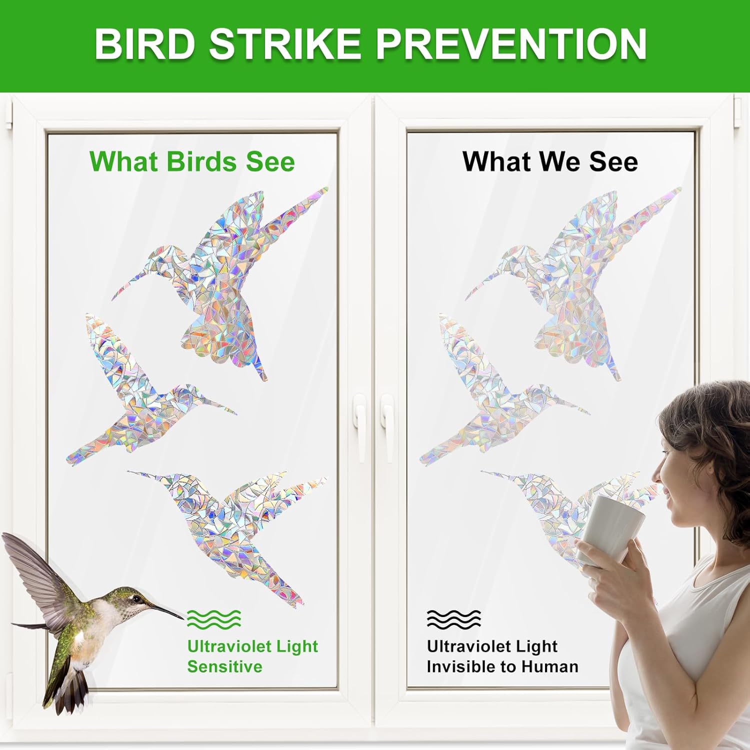 Window Decals to Prevent Birds Strikes, DELLAN 24 Anti-Collision Rainbow Window Clings, Bird Deflectors Stickers for Glass Windows (Birds) - Image 2
