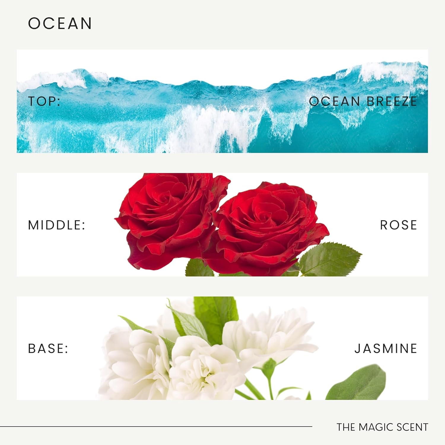 The Magic Scent Ocean Diffuser Oil - Hotel & Home Luxury Scents Inspired by Bali Resort - Oil Scents for Home Designed for Use in All Diffusers - 16.9 fl oz, 500 mL - Image 5