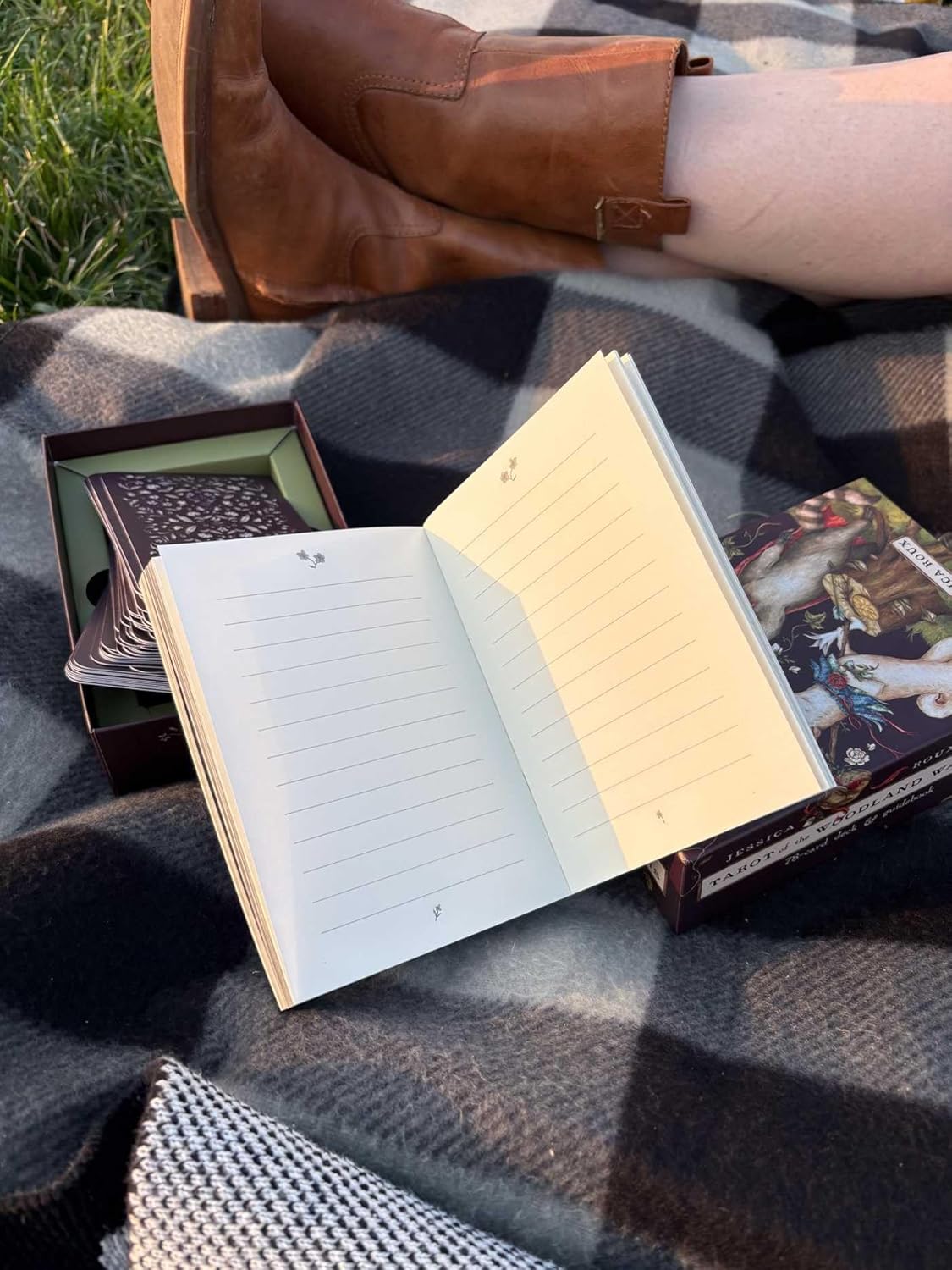 Tarot of the Woodland Wardens: 78-Card Deck & Guidebook - Image 16