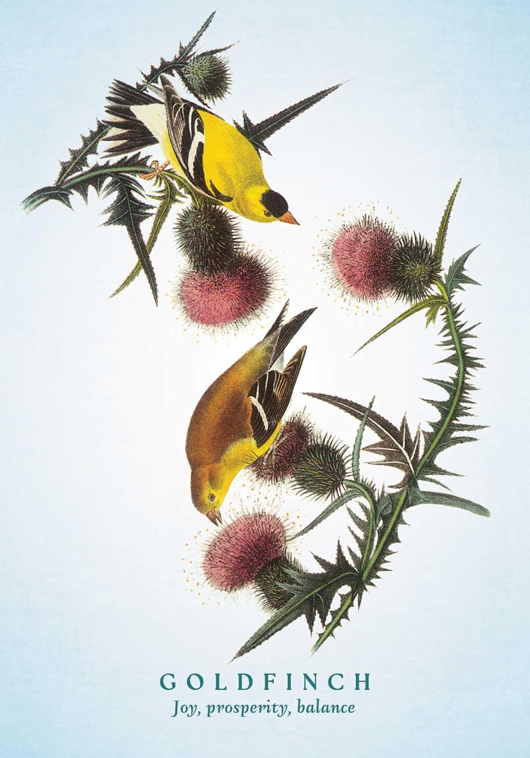 The Spiritual Meaning of Birds Oracle Deck: Discover the Wisdom & Insight of These Divine Winged Messengers - Image 5