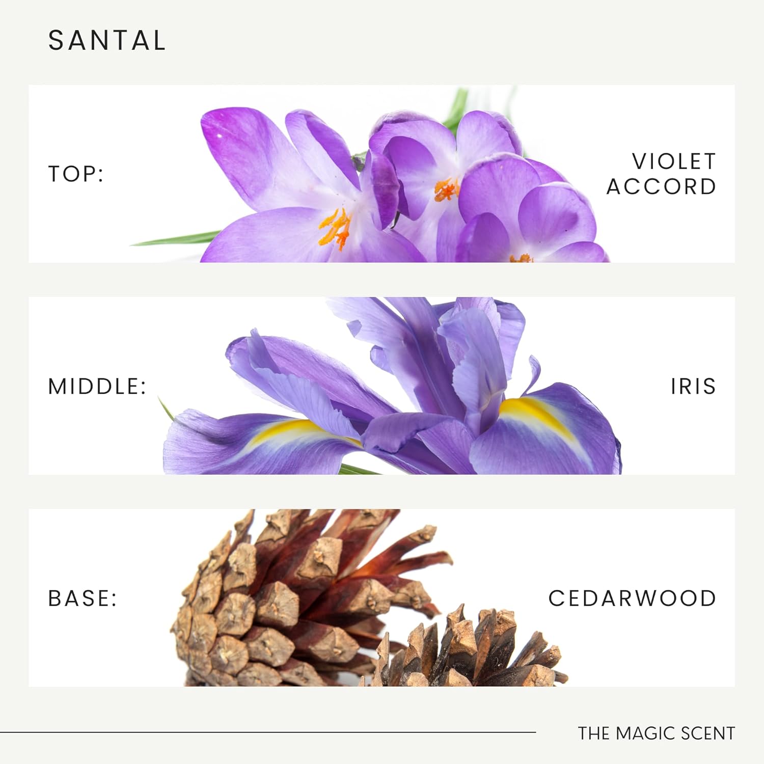 The Magic Scent Santal Diffuser Oil - Fragrance Oil Scent - Cold-Air & Ultrasonic Santal Essential Oil - Aroma Diffuser Oils Scents for Home - Sandalwood, Musk & Cardamom - 16.9 fl oz, 500 mL - Image 6