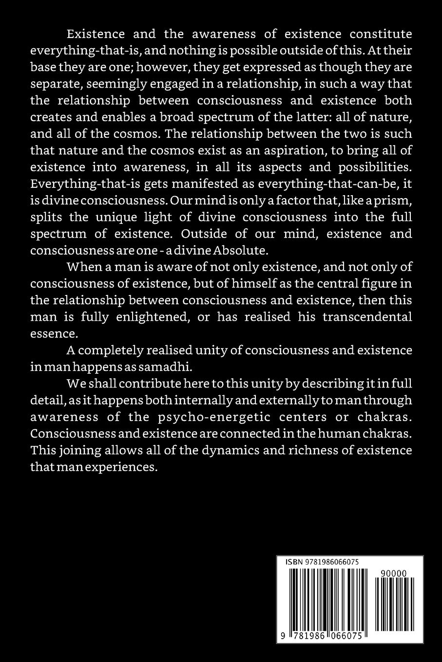 Samadhi: Unity of Consciousness and Existence (Existence - Consciousness - Bliss) - Image 2
