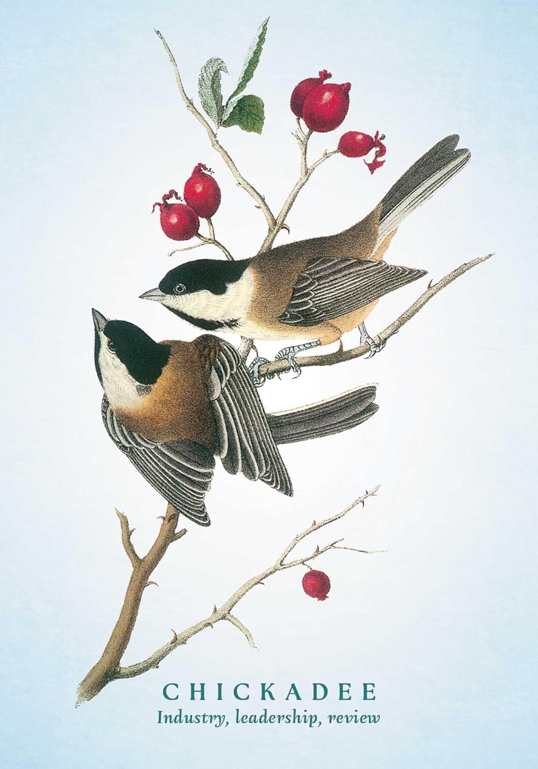The Spiritual Meaning of Birds Oracle Deck: Discover the Wisdom & Insight of These Divine Winged Messengers - Image 4
