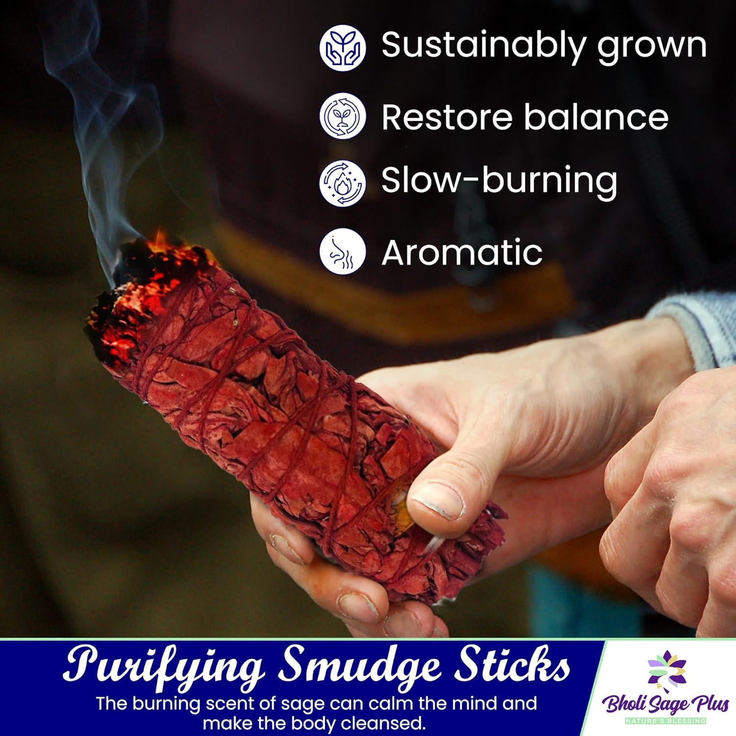 Bholi Sage Plus Sage Smudge Kit for Cleansing Negative Energy and Cleansing Home Sinuata, Dragon Blood, Cinnamon and Triple Flower Dried - 4'' Long Pack of 4 White California Sage Sticks - Image 4