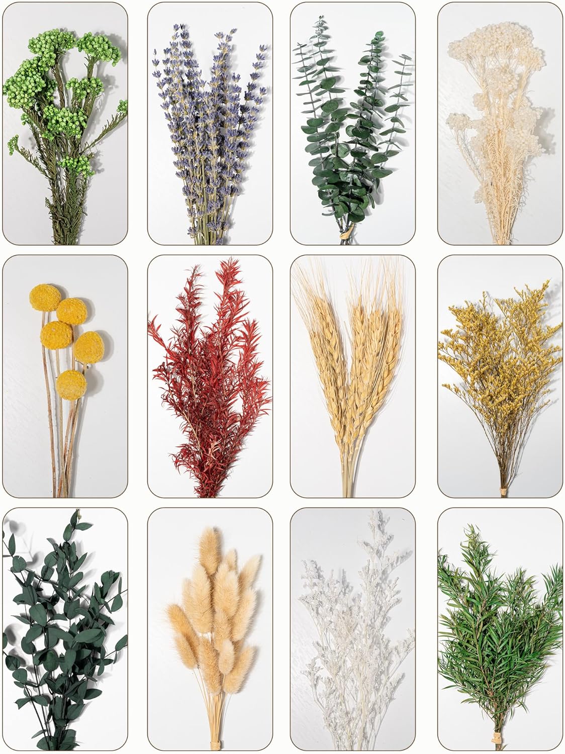 12 Kind Dried Flowers Set - Including Lavender, Eucalyptus, Wheat, Bunny Tails, Handmade for DIY Crafts, Vase Decor, Wedding/Home/Birthday/Seasonal Decor - Image 2