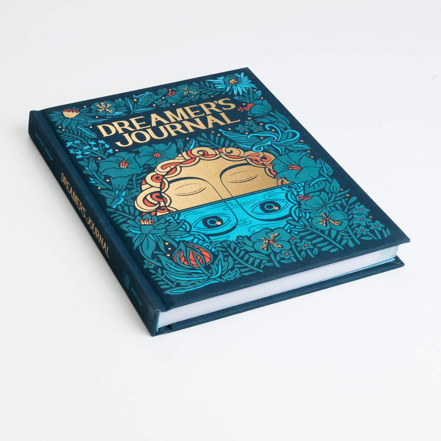 Dreamer's Journal: An Illustrated Guide to the Subconscious (The Illuminated Art Series) - Image 3