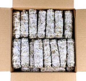 SOUL STICKS 4 Inch 12-Pack Organic ...