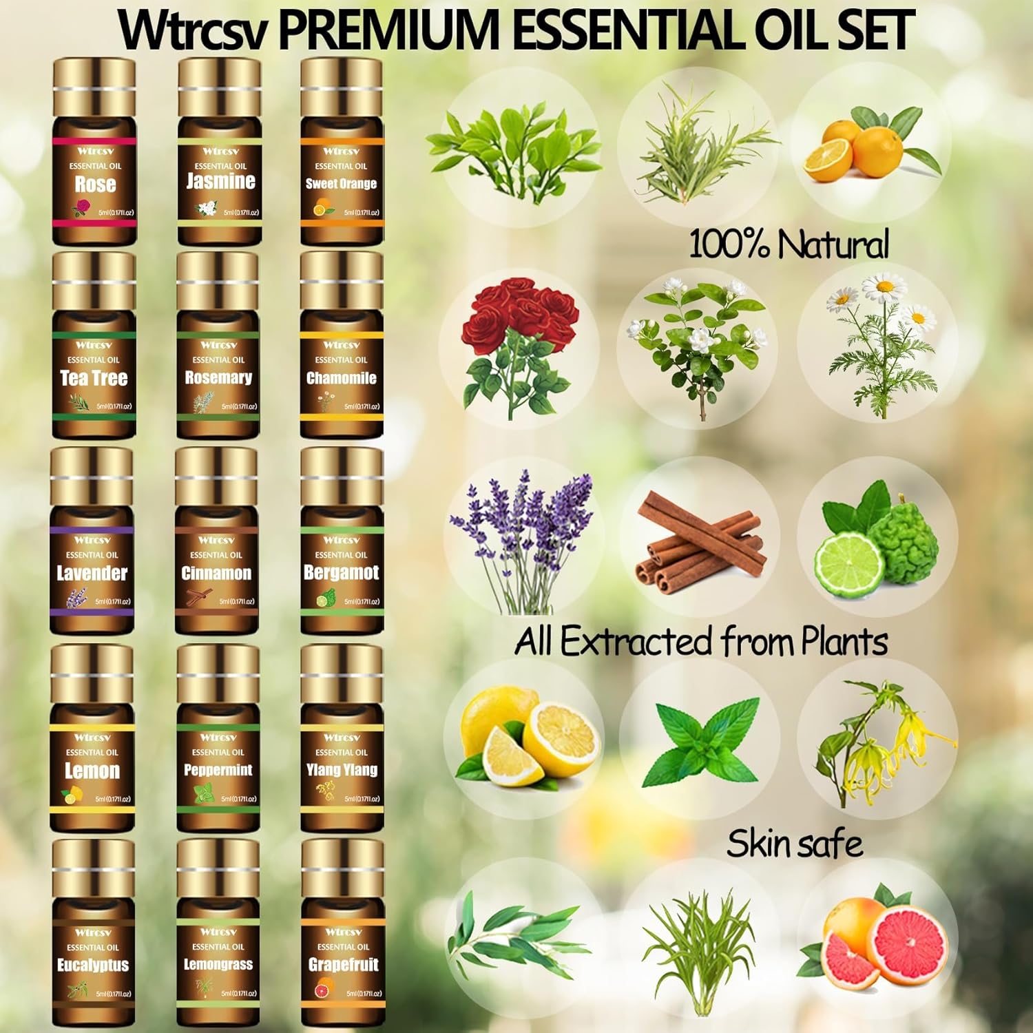 Essential Oils Set - Top 15 Scents for Diffuser, Humidifier, Skin Care, Aromatherapy, Massage, Candle & Soap Making - Fragrance Gift Set (5ml) - Image 2