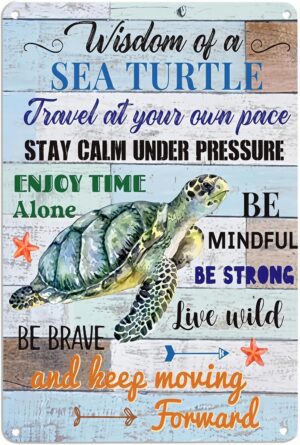 Wisdom of a Sea Turtle & Walk ...