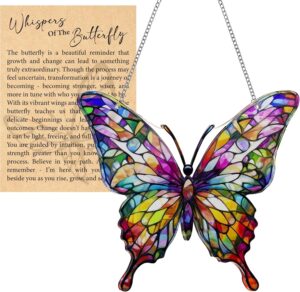 Butterfly Gifts for Women, Acrylic ...