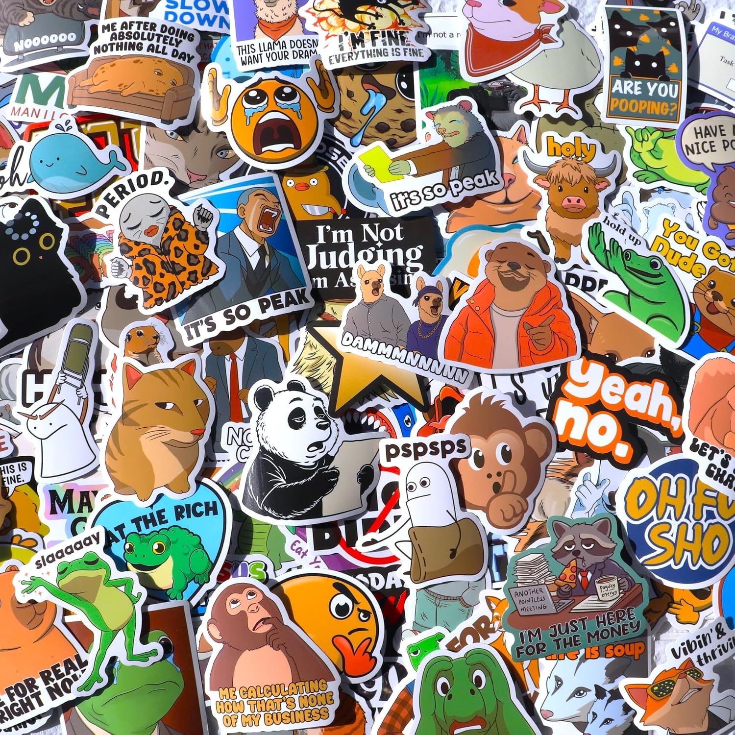 306pcs Funny Meme Vinyl Stickers Pack, Large Bulk Sticker for Laptop, Phone, Water Bottles, Computer Cars... Vine Sticker Decal DIY Décor for Bumper Accesory - Image 7