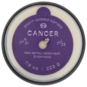 Illume, Candle Glass Zodiac Decorat...