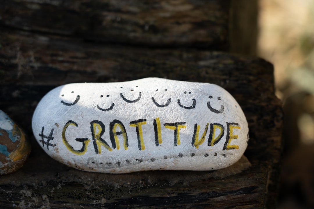 A serene landscape with a person reflecting in nature, symbolizing gratitude and mindfulness.