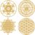 Leinuosen 4 Pcs 12 Inch Crystal Grid Board Sacred Geometric Wall Art Set Metatron Cube, Flower of Life, Sri Yantra, 64 Star Tetrahedron Pagan Decor Home Wall Decor for Room(Gold)