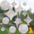 Window Decals to Prevent Birds Strikes, DELLAN 42 Anti-Collision Rainbow Window Clings, Bird Deflectors Stickers for Glass Windows (StarRound)