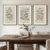 Framed Vintage Botanical Wall Art for Dining Room, 3 Piece Neutral Floral Plants Canvas Painting Prints Artwork, Rustic Flowers Pictures for Farmhouse Living Room Bedroom Kitchen Home Decor, 16×24 In