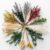 12 Kind Dried Flowers Set – Including Lavender, Eucalyptus, Wheat, Bunny Tails, Handmade for DIY Crafts, Vase Decor, Wedding/Home/Birthday/Seasonal Decor