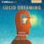 Lucid Dreaming: Gateway to the Inner Self