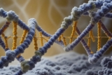Top 10 DNA Healing Techniques for Optimal Wellness
