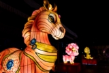 Year of the Horse 2026 Astrology Reading: A Beginner’s Guide to Personalized Eastern Astrology