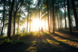 Unlocking Spirituality: Essential Practices to Enhance Your Inner Journey